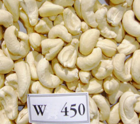 Raw Cashews – W450