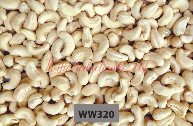 Vietnam Cashew Nut WW320