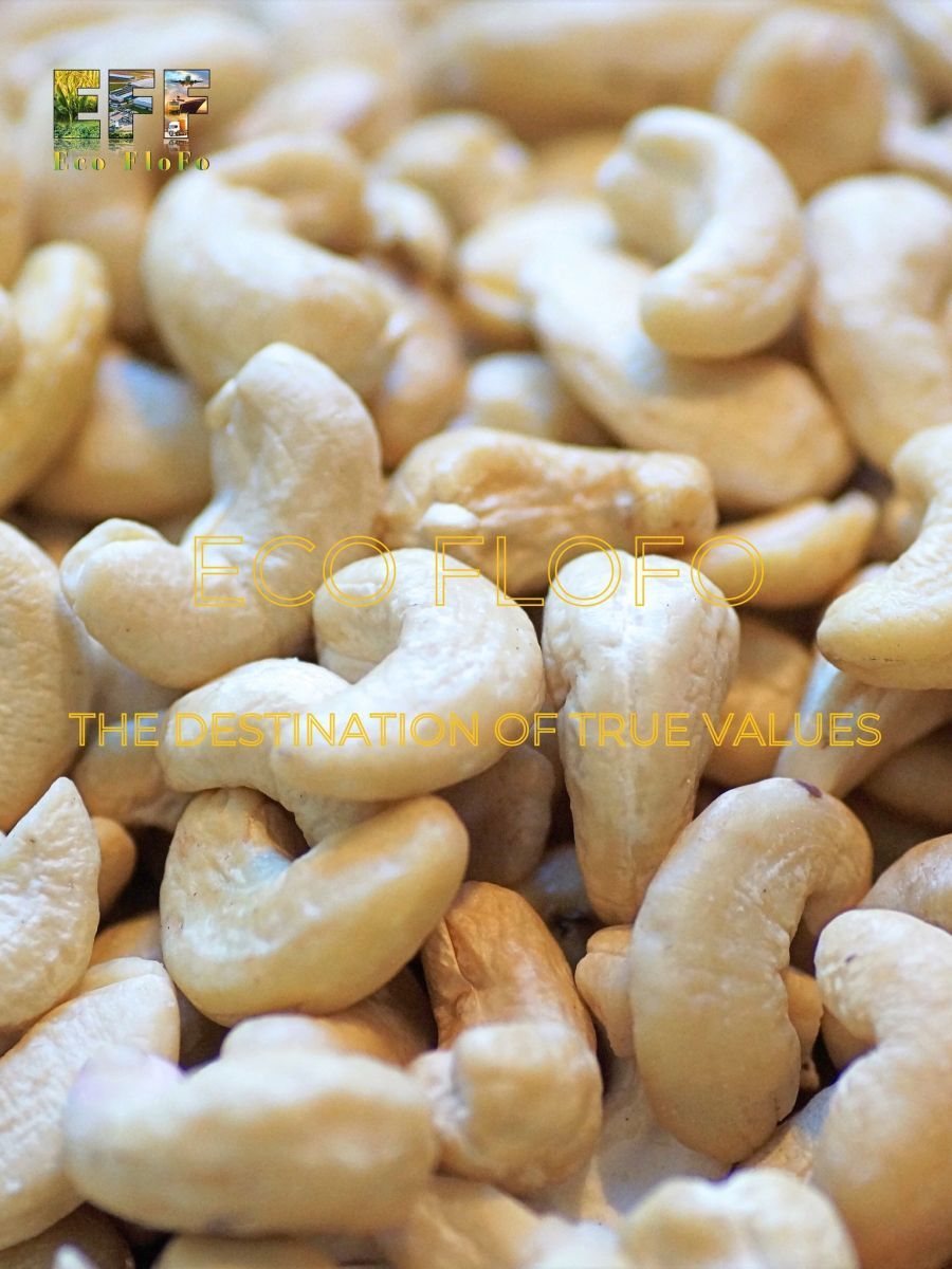 CASHEW NUTS