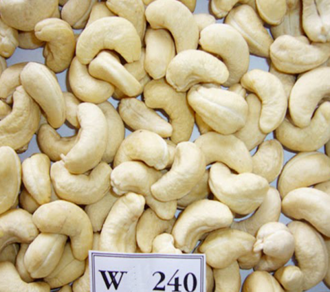 Raw Cashews – W240