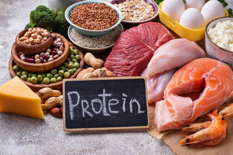 Thực phẩm bổ sung protein