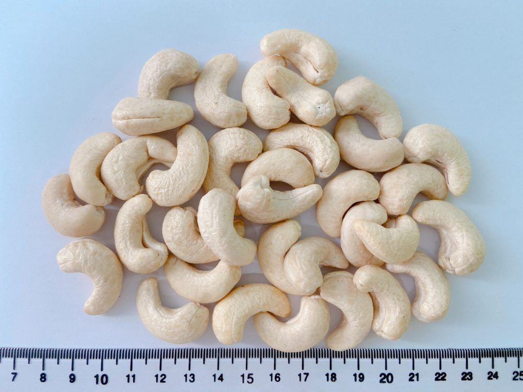 Cashew Nut WW210