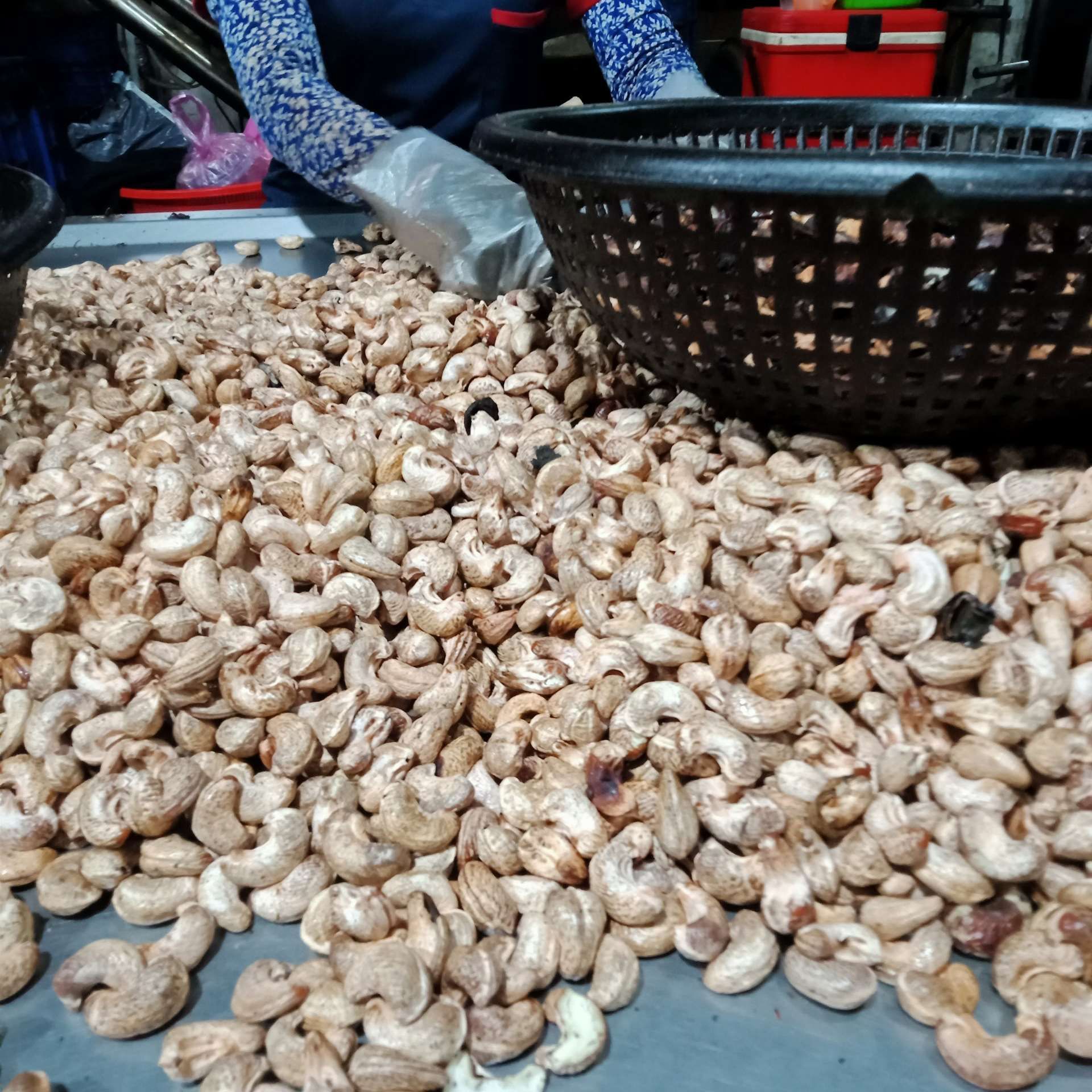 Raw Cashew Nuts With Silk Shell