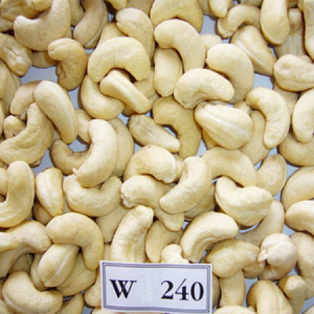 Cashew kernels WW240