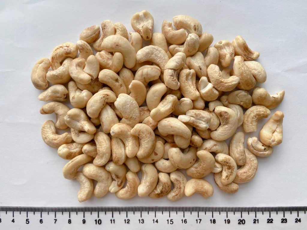 Cashew Nut DW, WS, LP, SP, BB