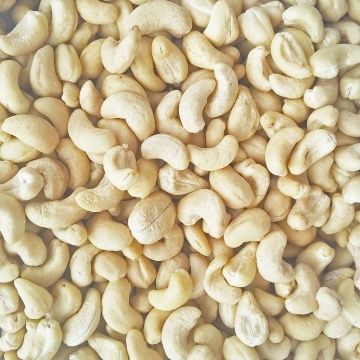 White Cashew Nuts WW 450