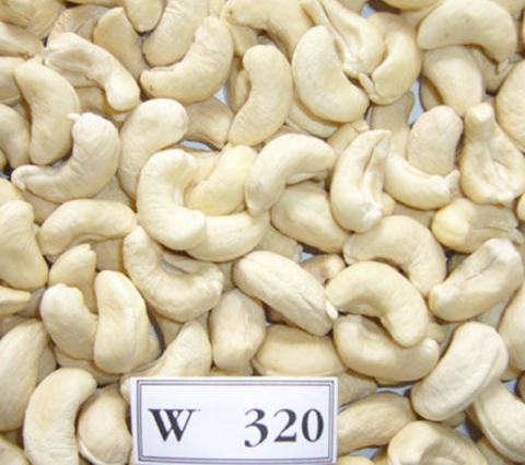 Raw Cashews – W320