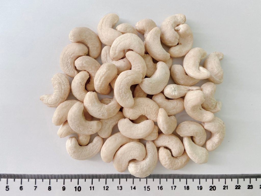 Cashew Nut WW240