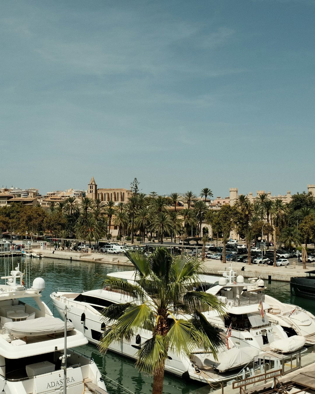 Cosa vedere a Maiorca in auto: itinerario tra mare, natura e design mediterraneo - Article content image