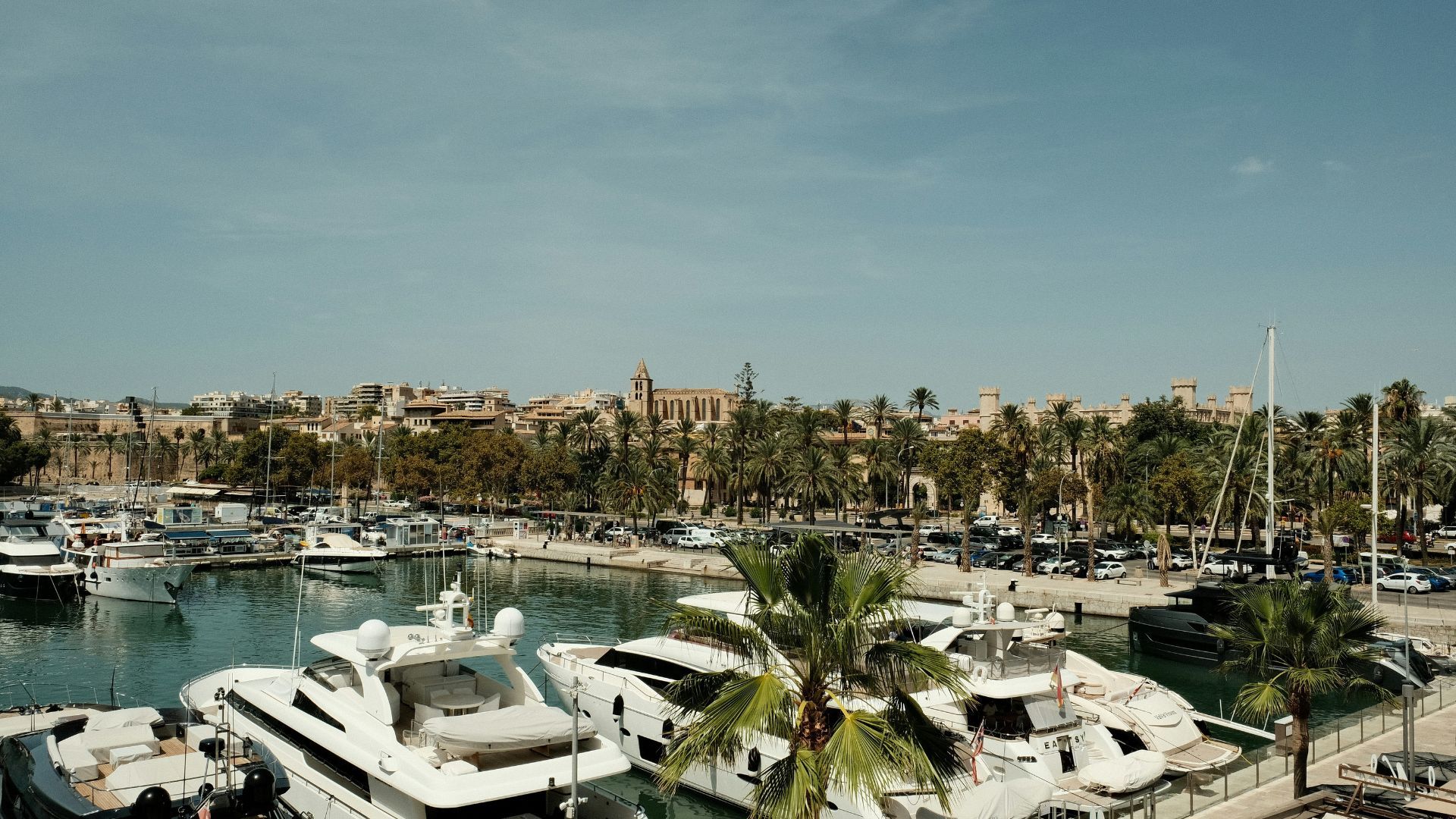 Cosa vedere a Maiorca in auto: itinerario tra mare, natura e design mediterraneo - Article content image