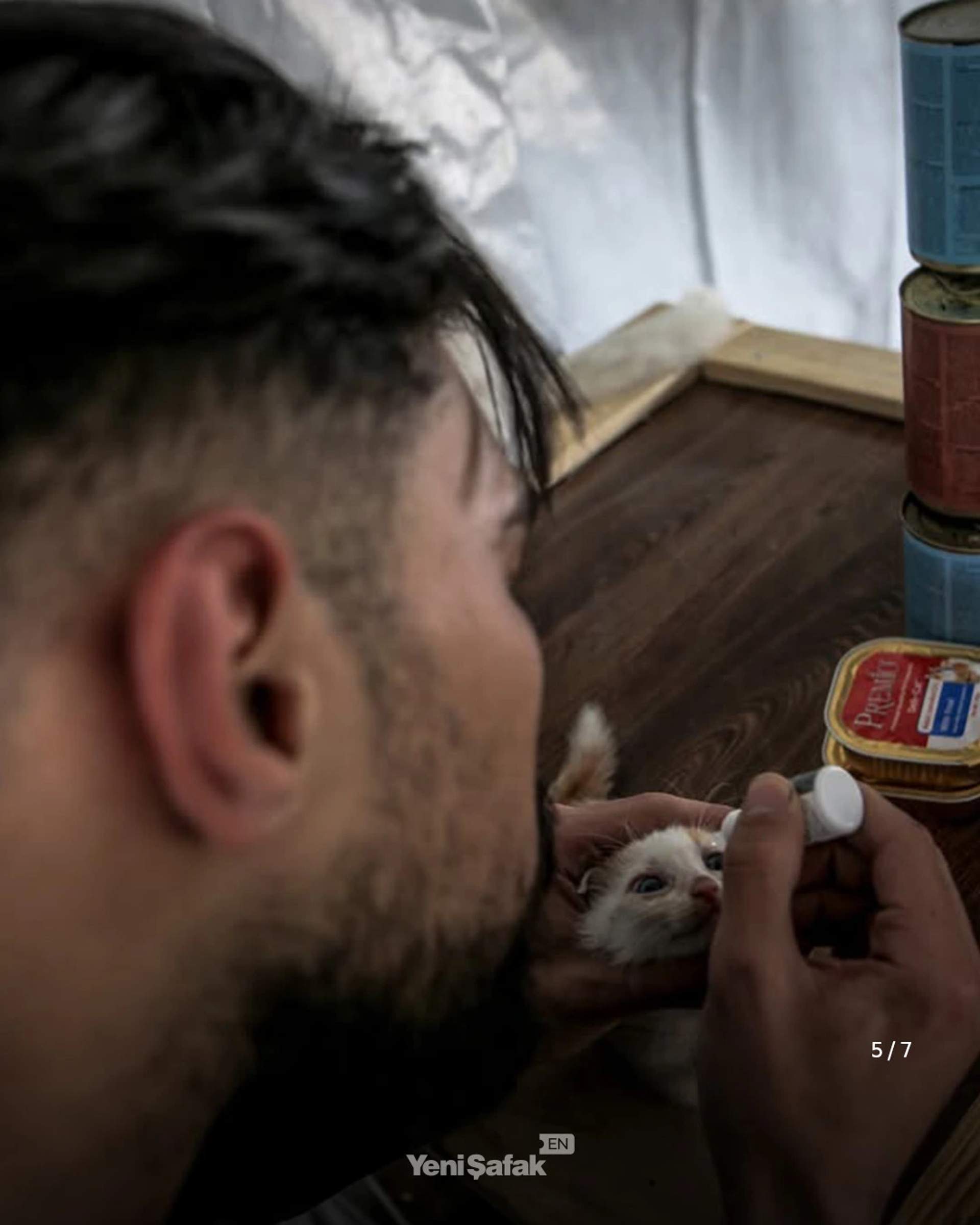 Abdullah uses a dropper to administer care to a white kitten that looks up at him with wide eyes.