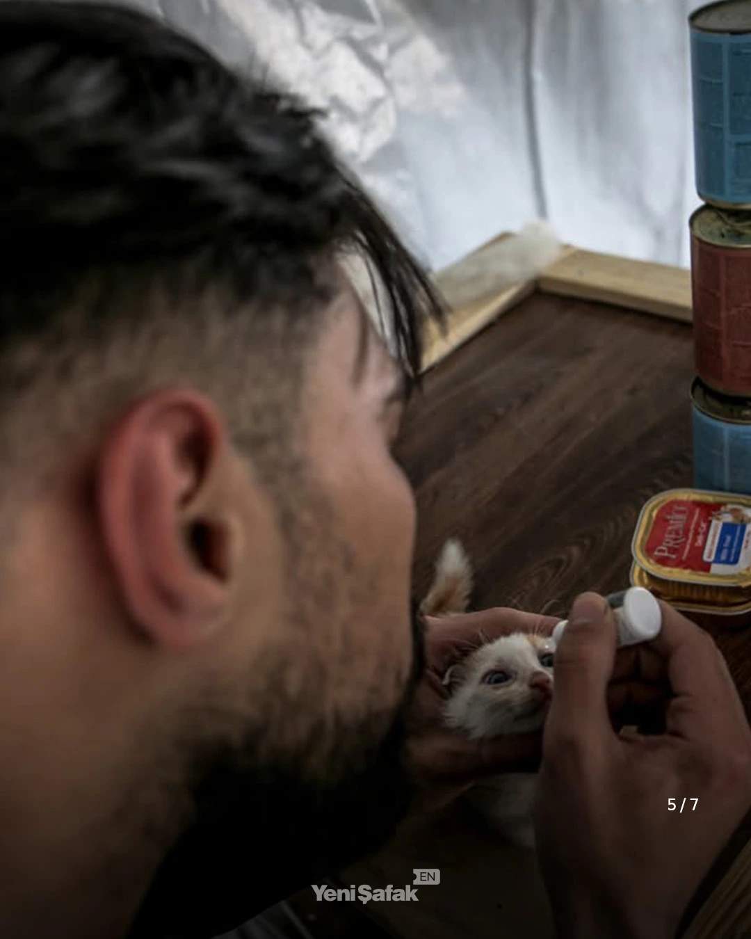 Abdullah uses a dropper to administer care to a white kitten that looks up at him with wide eyes.