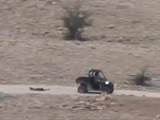 A Child's Body Dragged Behind a Golf Cart: The Settler Pogrom the World Refuses to Stop