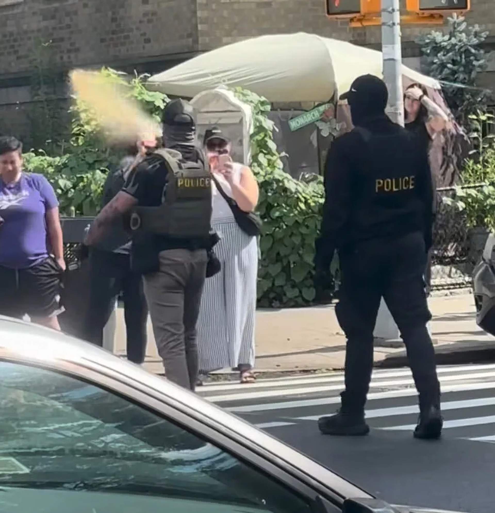 Protesters confront ICE agents, who respond with pepper spray, in Inwood, Manhattan near Inwood Hill Park