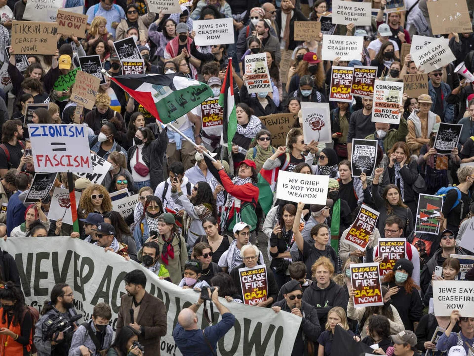 Crowd of protesters gathered outside the U.S. Capitol holding signs demanding a ceasefire in Gaza, with the Capitol dome visible in the background