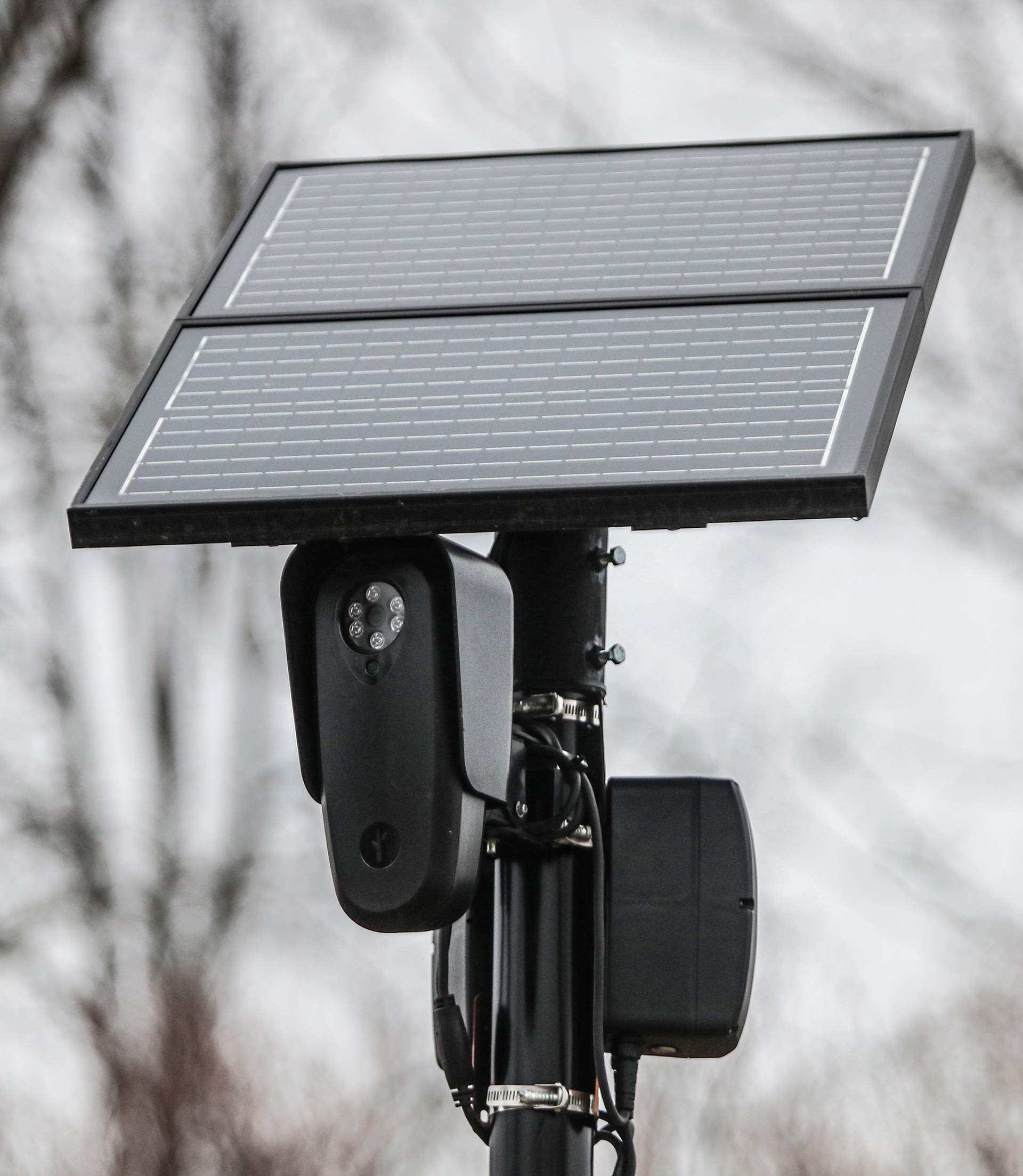 Flock camer with solar panel