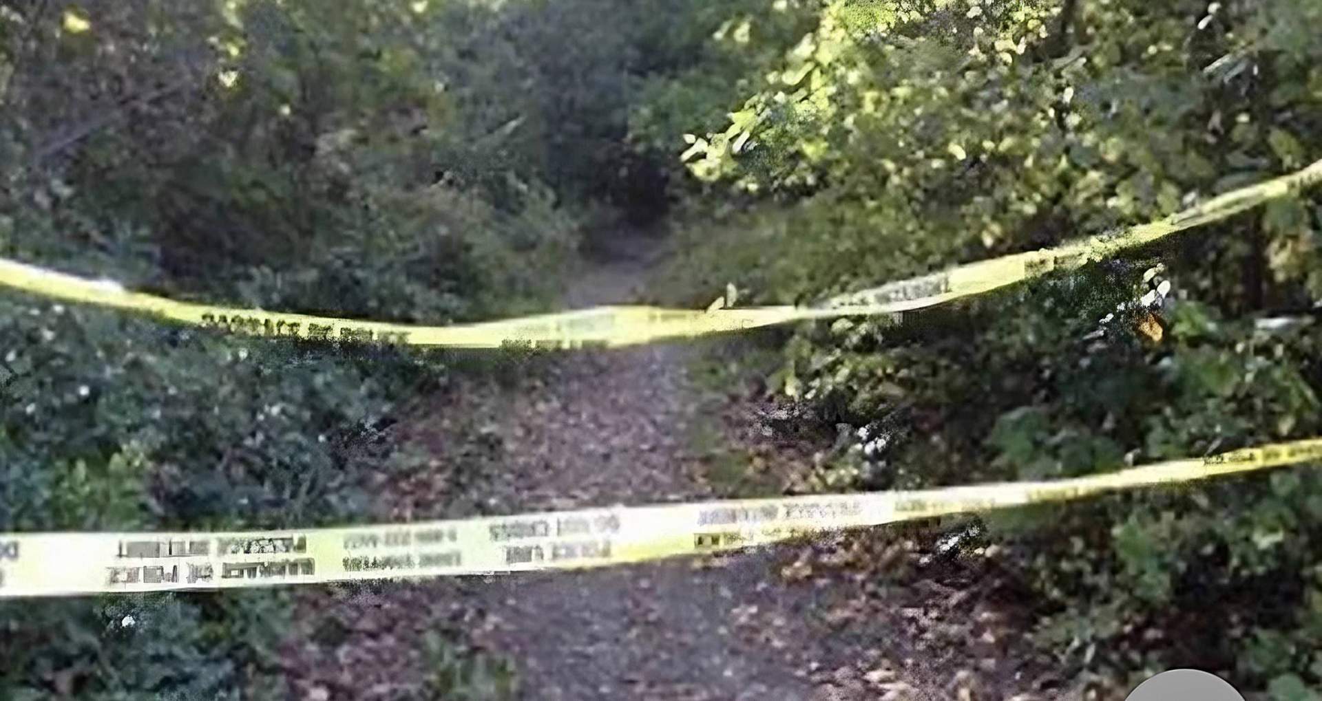 Trail through the wooded area where Tripp was murdered.