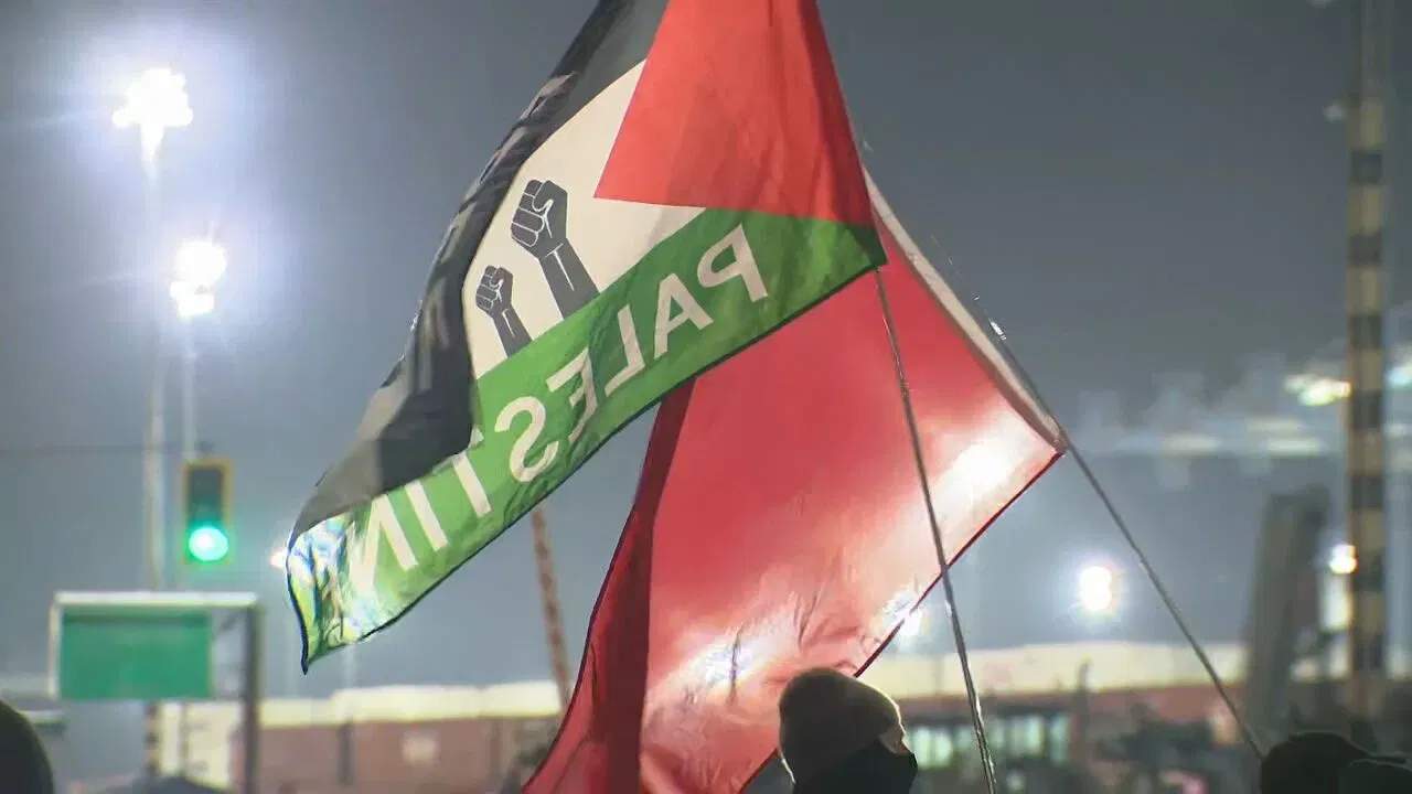 Palestine flags at ship blockade protest Nov 6th 2023