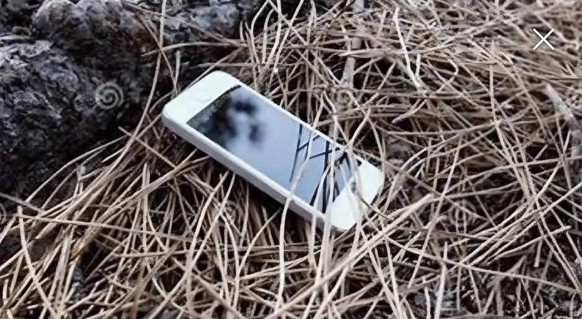 Tripp's phone found in the woods near his ATV