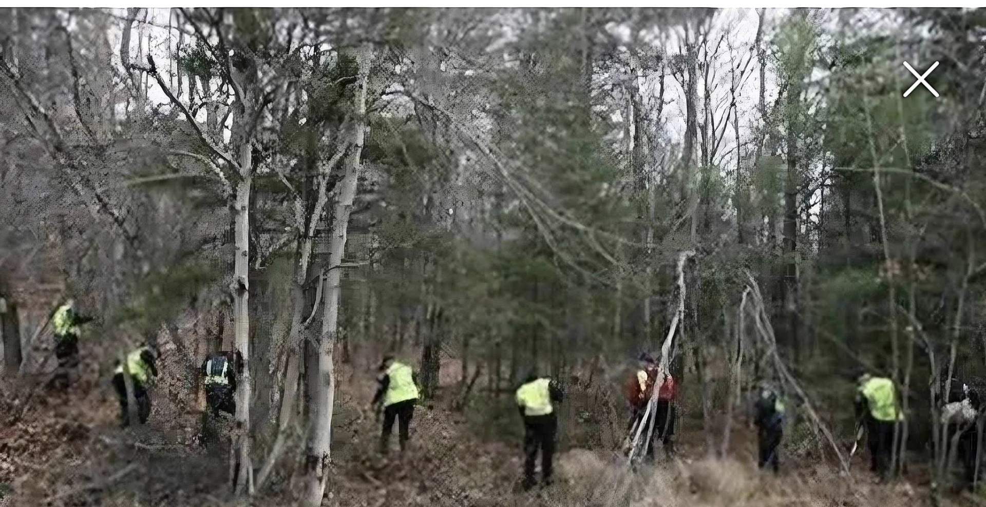 Teams search the wooded area where Tripp was last seen. 