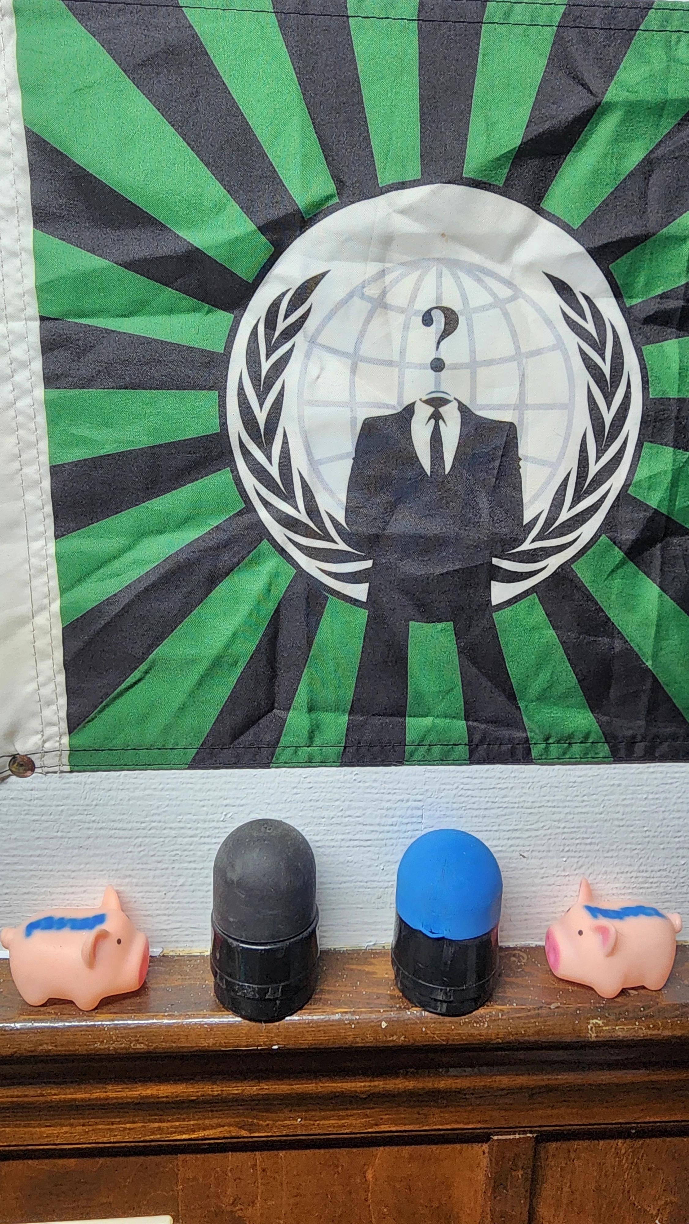 Mendez & Nelsen piggies sitting facing the rubber bullets their respective real life officers shot me with while covering protest in Denver.