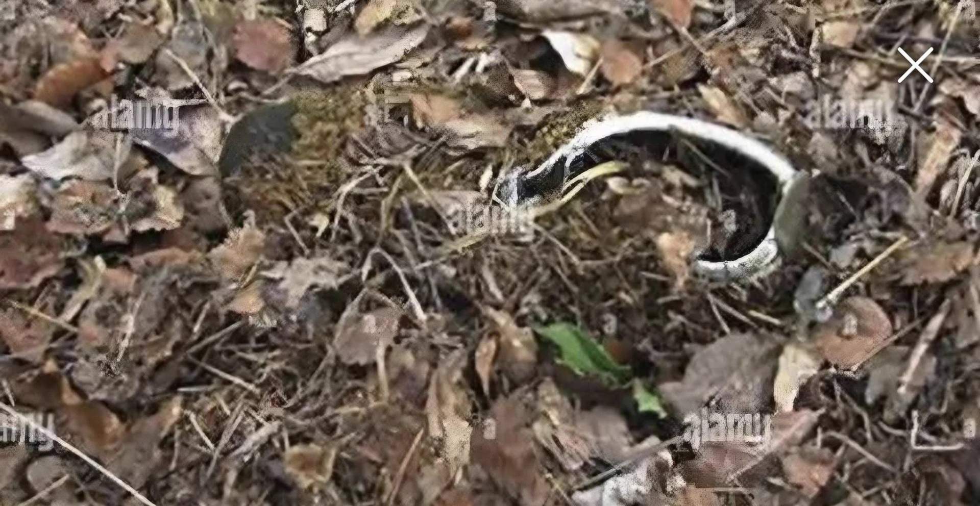 Personal items dropped by Tripp in the pursuit