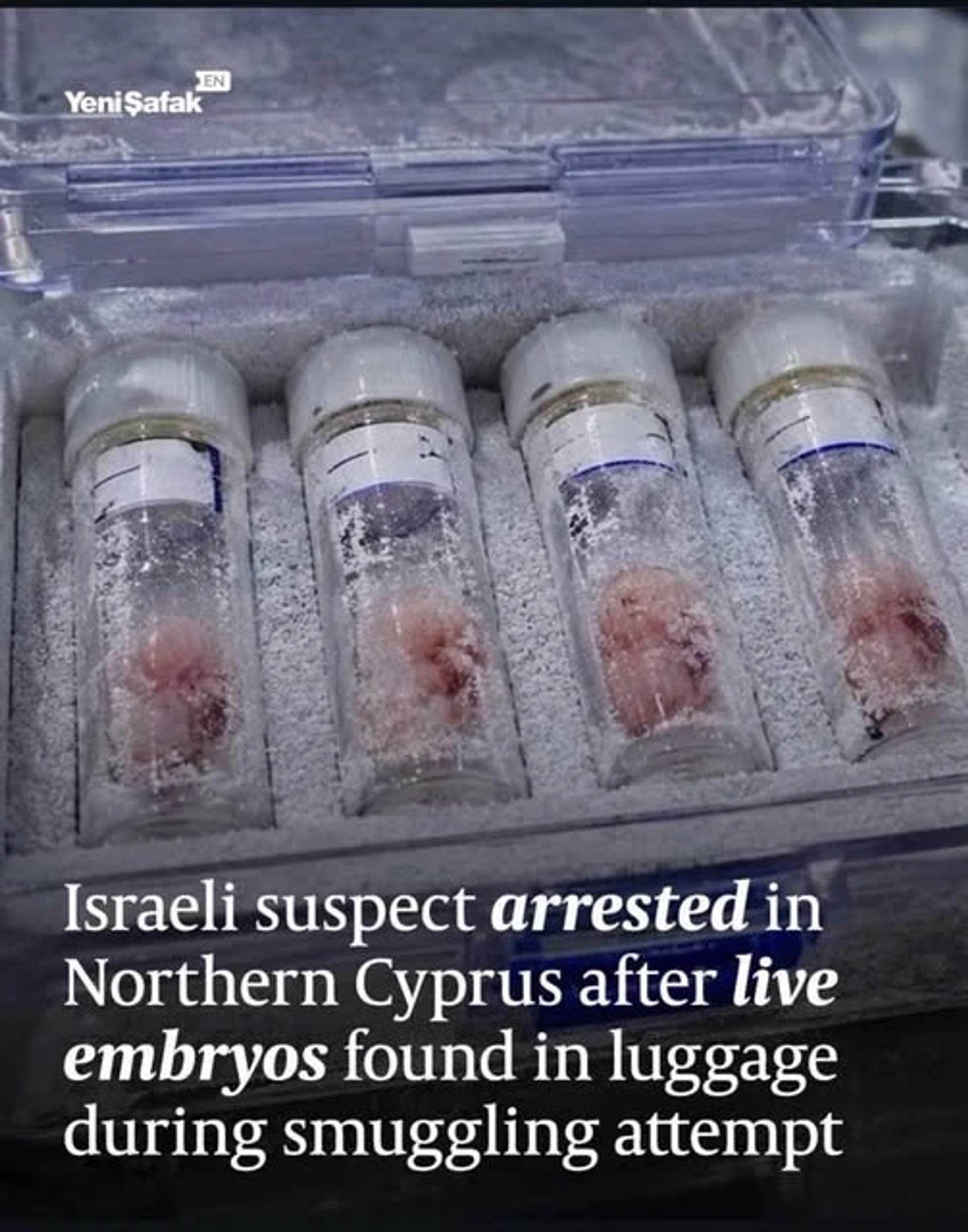 4 Embryos in tubes in a cryogenic case
