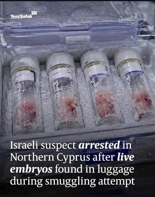 4 Embryos in tubes in a cryogenic case