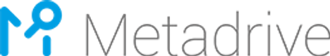 MetaDrive