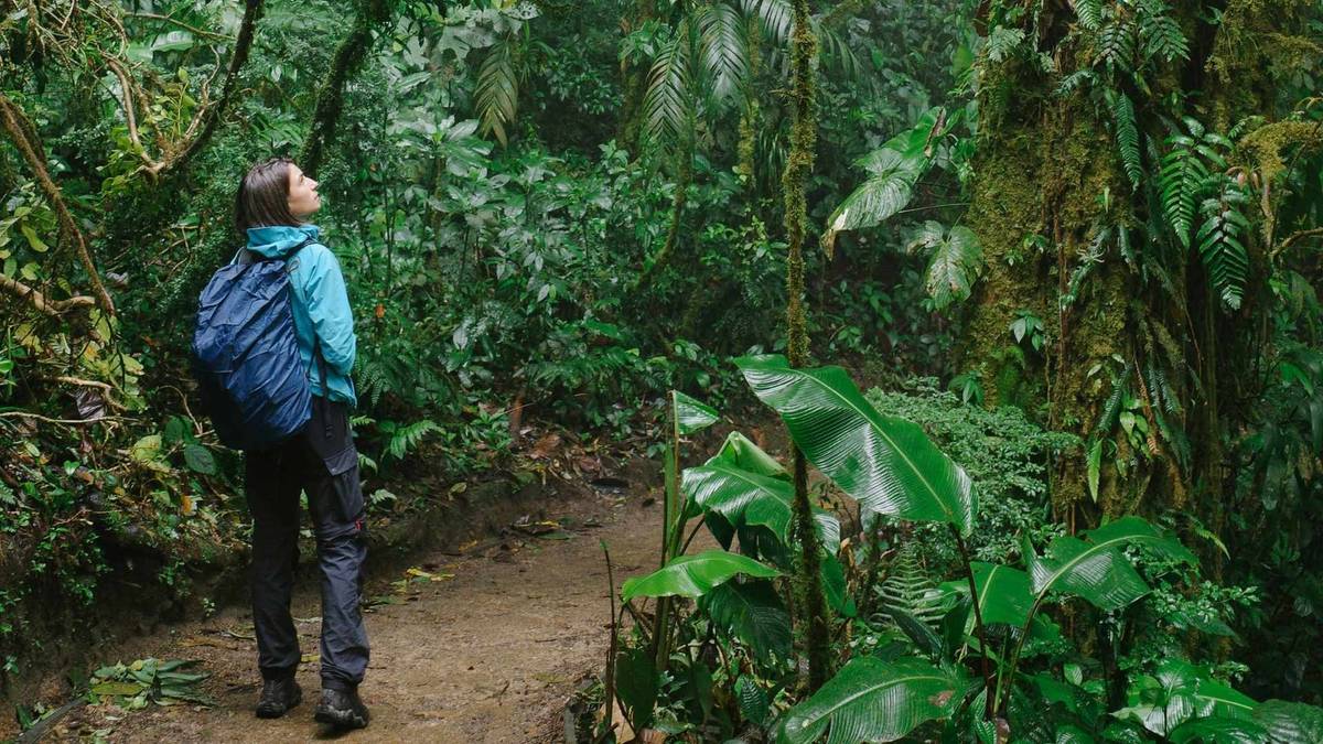 10 Best Things To Do In Monteverde Cloud Forest