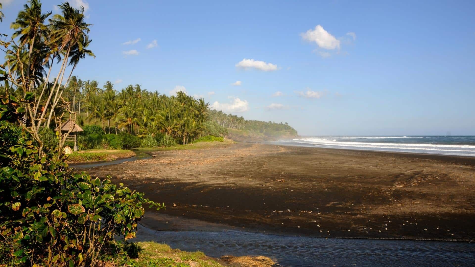 Medewi Surf Guide: Bali’s Longest Left-Hand Wave
