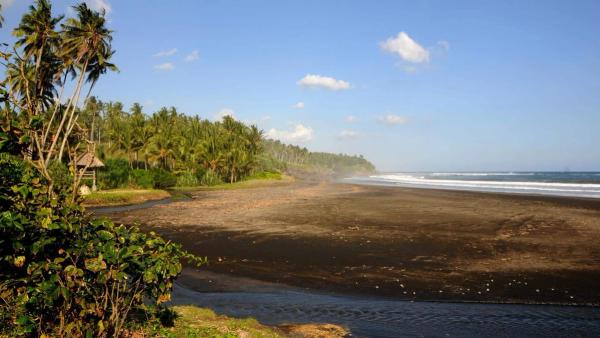 Medewi Surf Guide: Bali’s Longest Left-Hand Wave