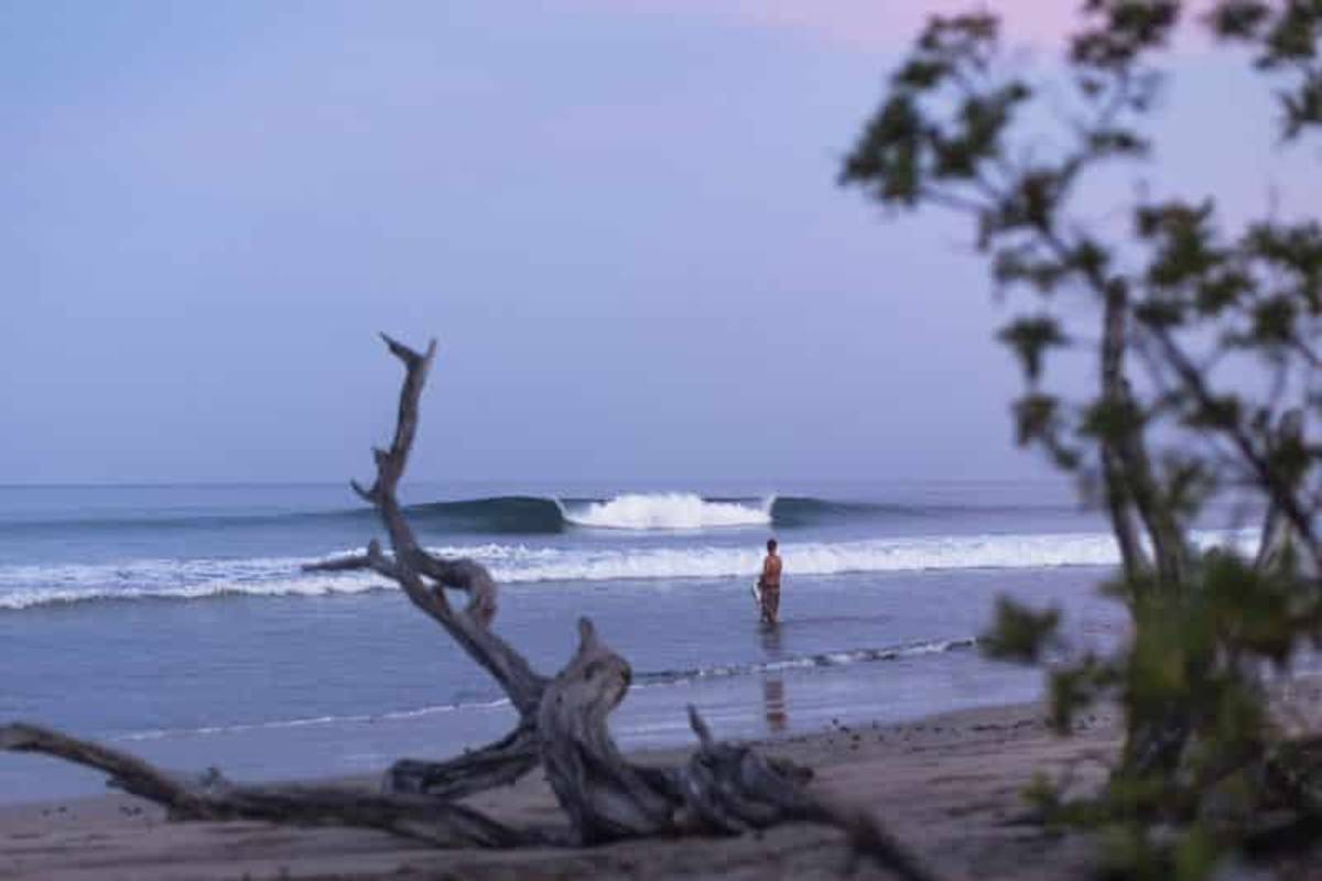 All About Booking Surf Lessons in Costa Rica