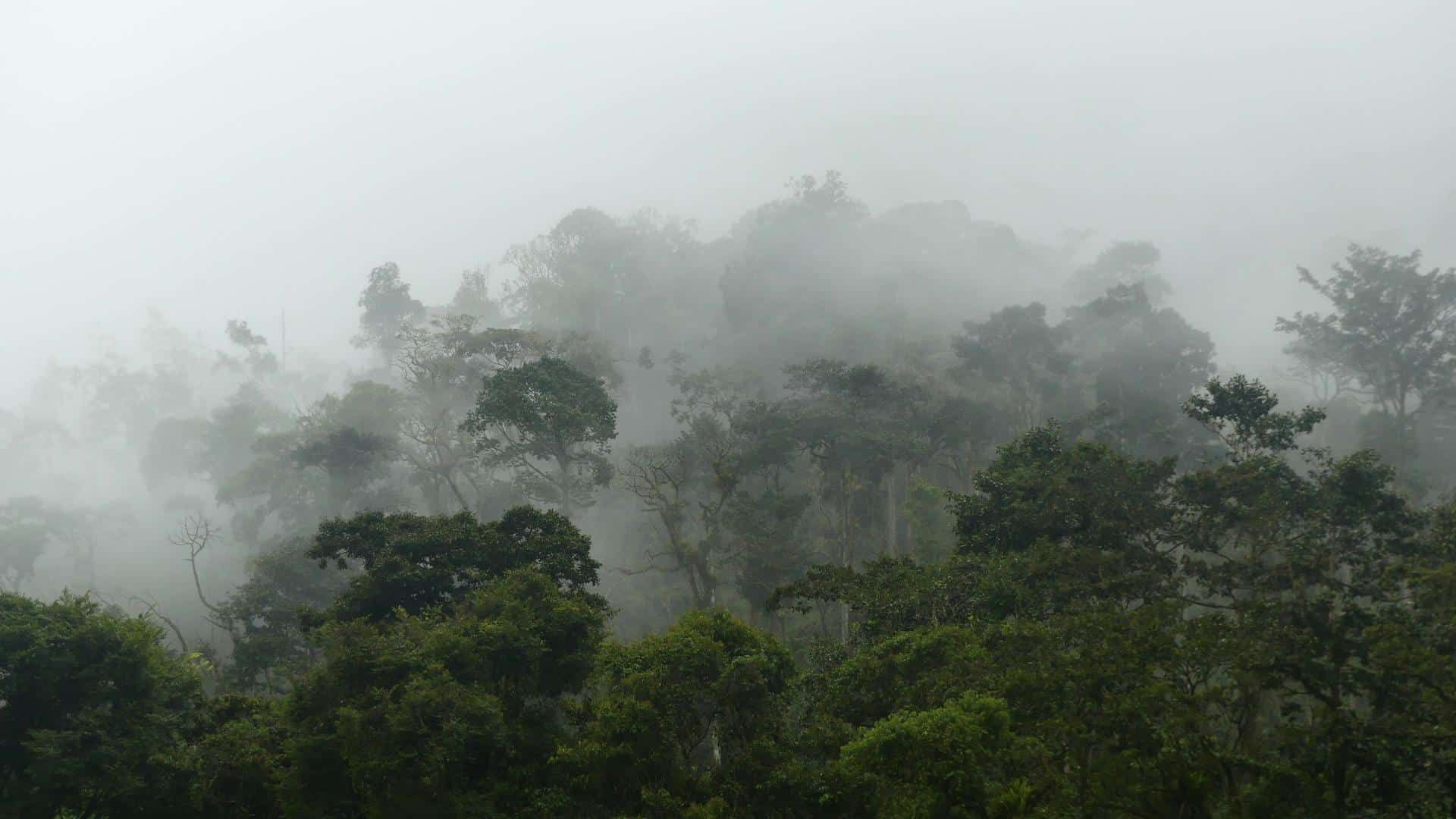 Costa Rica Monsoon Season: Surf Conditions and How To Prepare