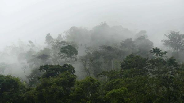 Costa Rica Monsoon Season: Surf Conditions and How To Prepare