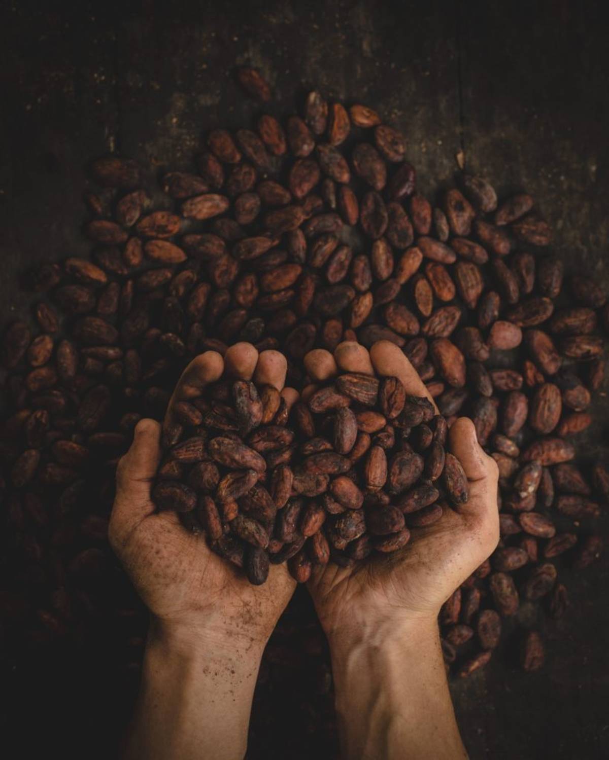 Man holding coffee beans in his hands
