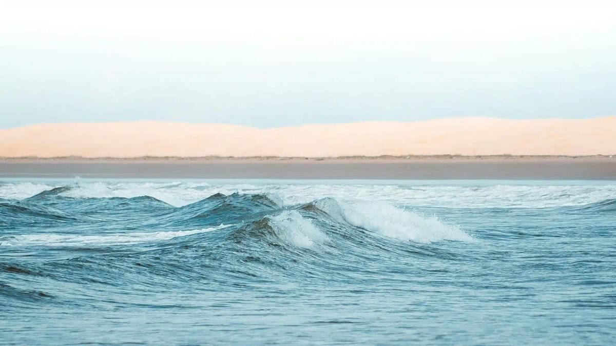 Understanding Ocean Waves: What Is A Swell?