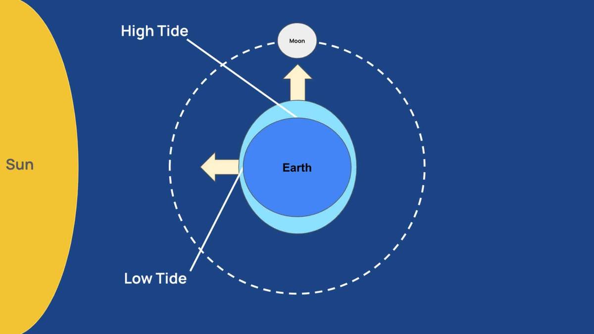 How Do Tides Work? Understanding The Ocean’s Rhythms