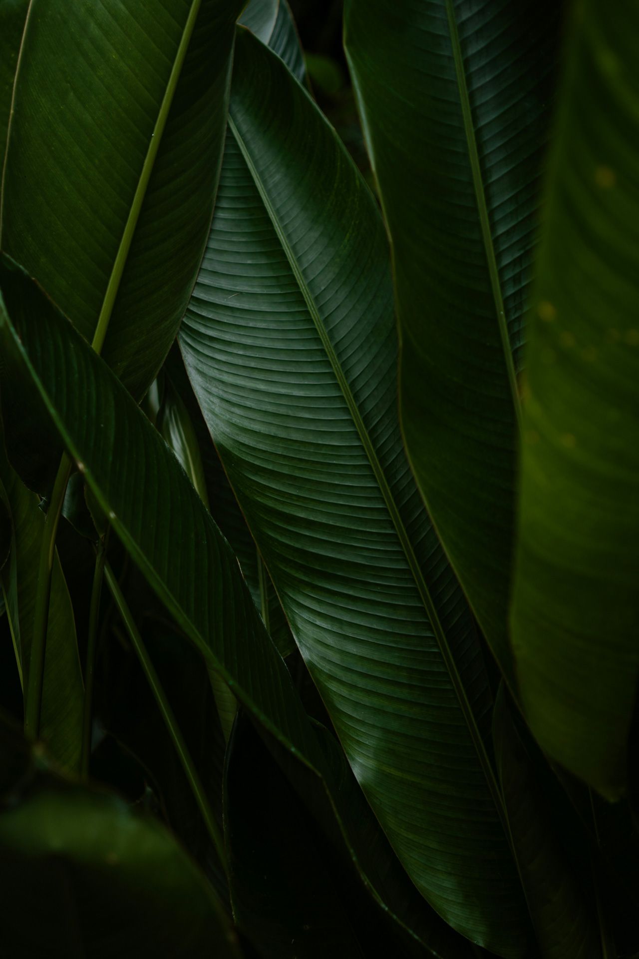 Bali, Indonesien