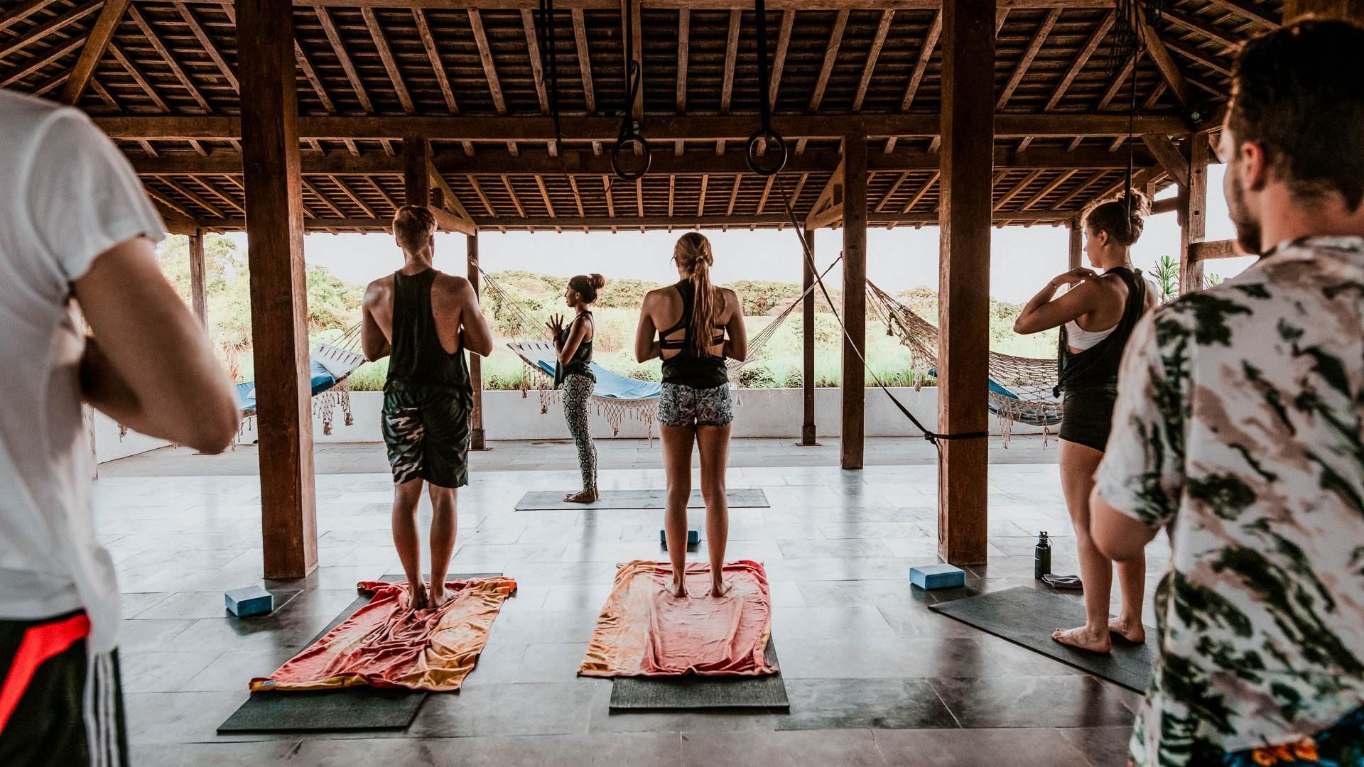 Wellness & Activities