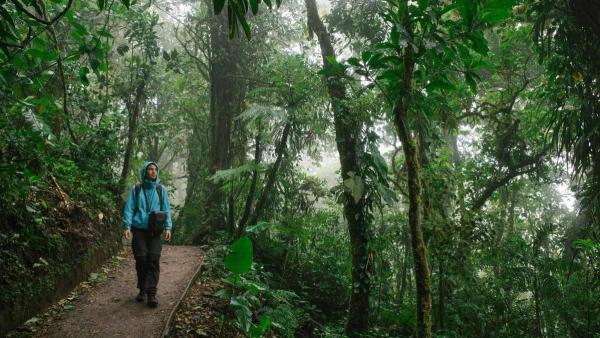 10 Best Things To Do In Monteverde Cloud Forest