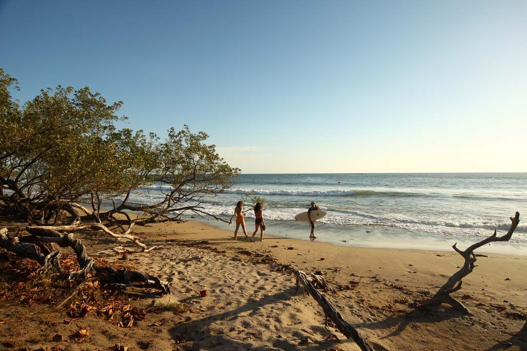 Tropical beach in Costa Rica at golden hour