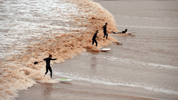 Tidal Bore Surfing Explained