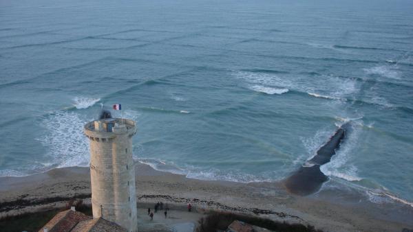 The Power of Square Waves: Everything Surfers Need to Know