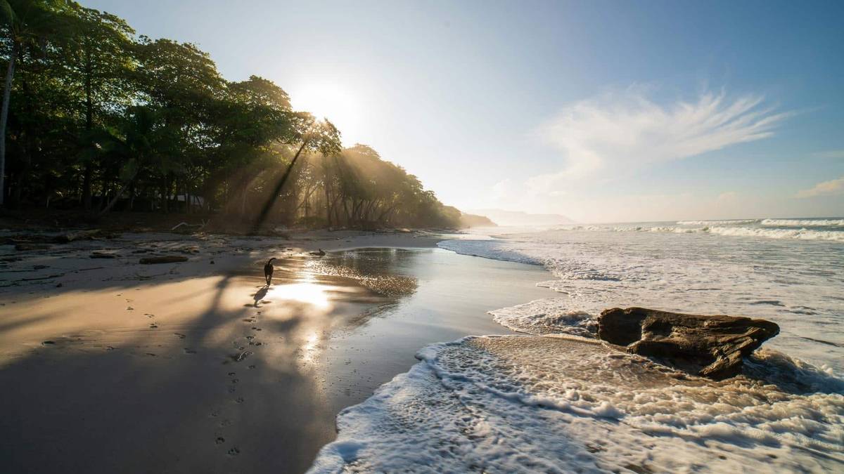 The Most Beautiful Beaches In Costa Rica