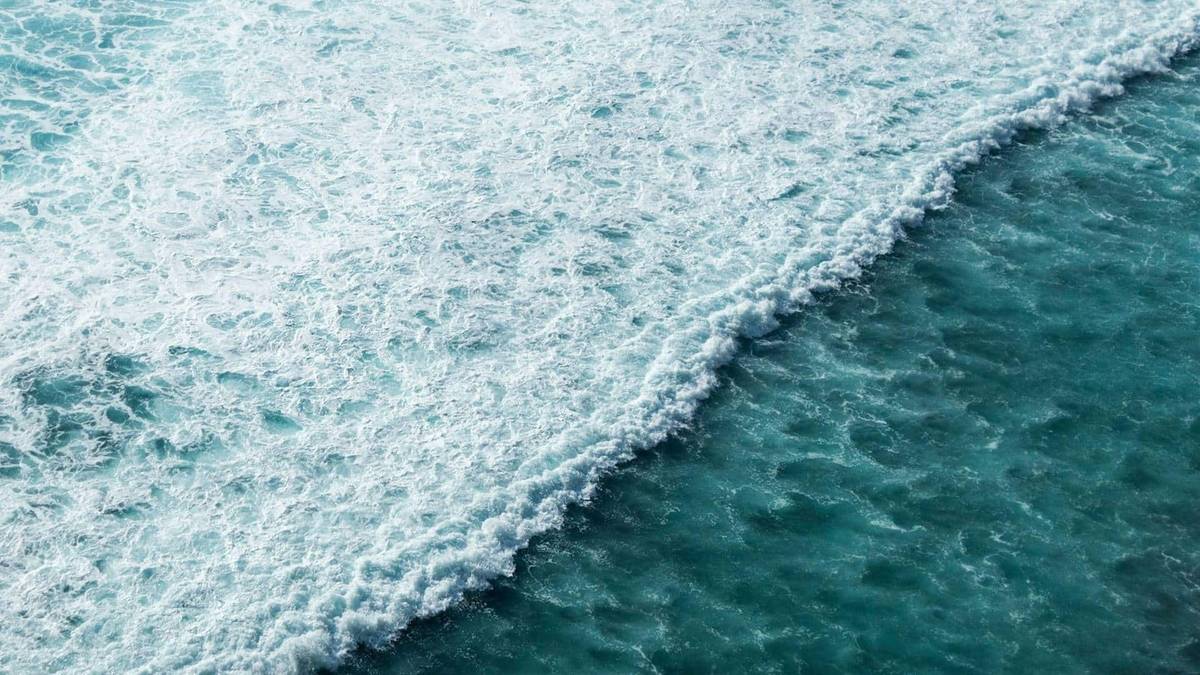 What Is a Point Break and Why Do Surfers Love It?