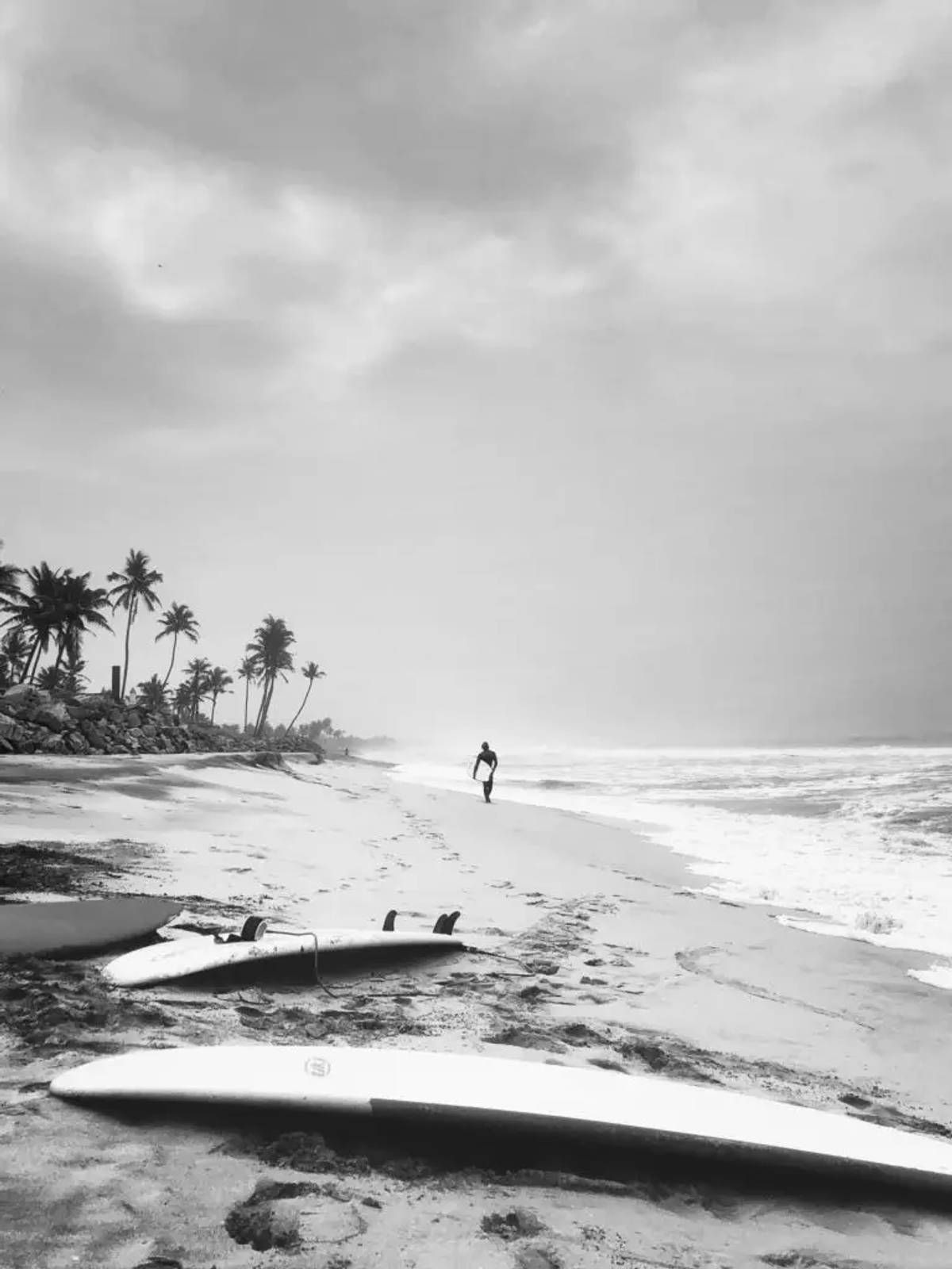 9 Expert Tips for a Memorable Surf Trip in Costa Rica