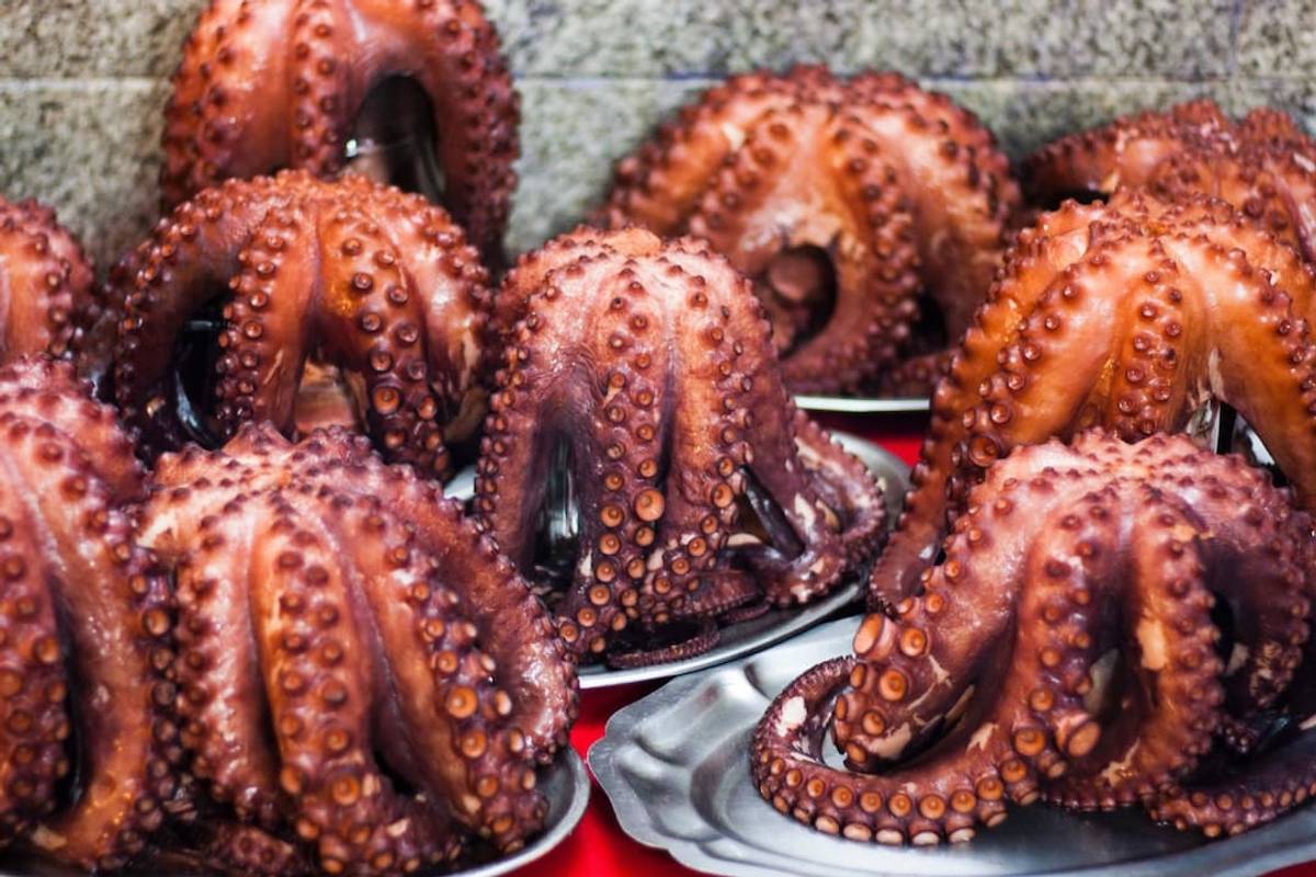 Little plates containing fresh Octopus