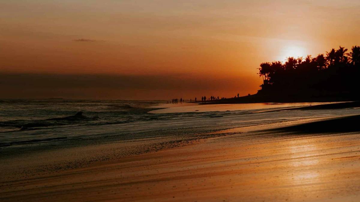 Local Flavours and Thrills: A Guide to the Area Around Green Bowl Surf Camp