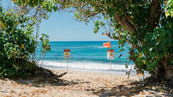 What is a Riptide and How to Avoid Getting Caught